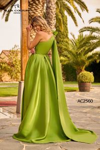 AC2560 ESPALDA copia